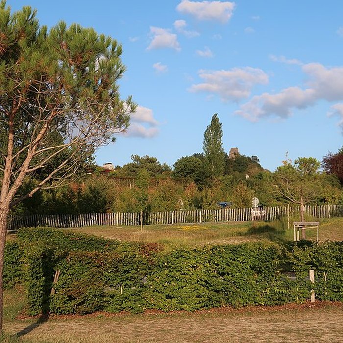 Photo de Ruines du château de Gurcon