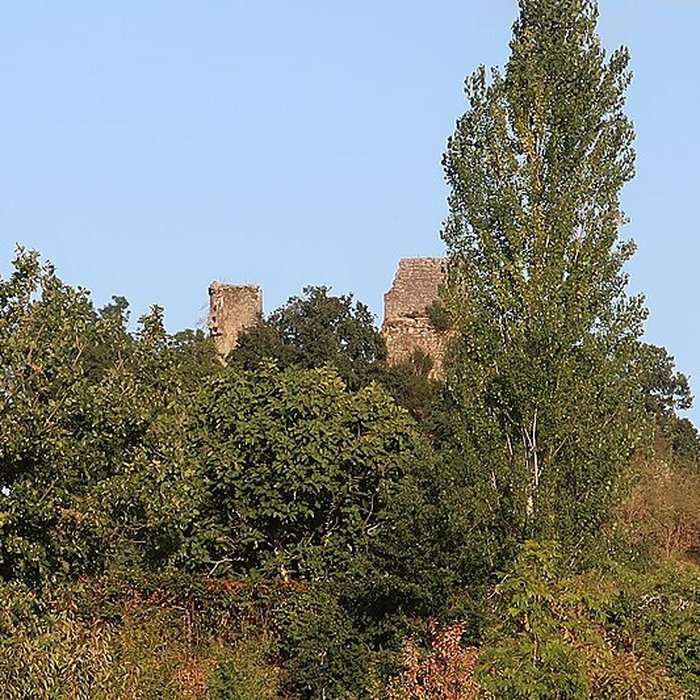 Photo de Ruines du château de Gurcon
