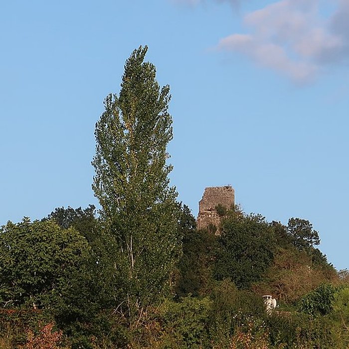 Photo de Ruines du château de Gurcon