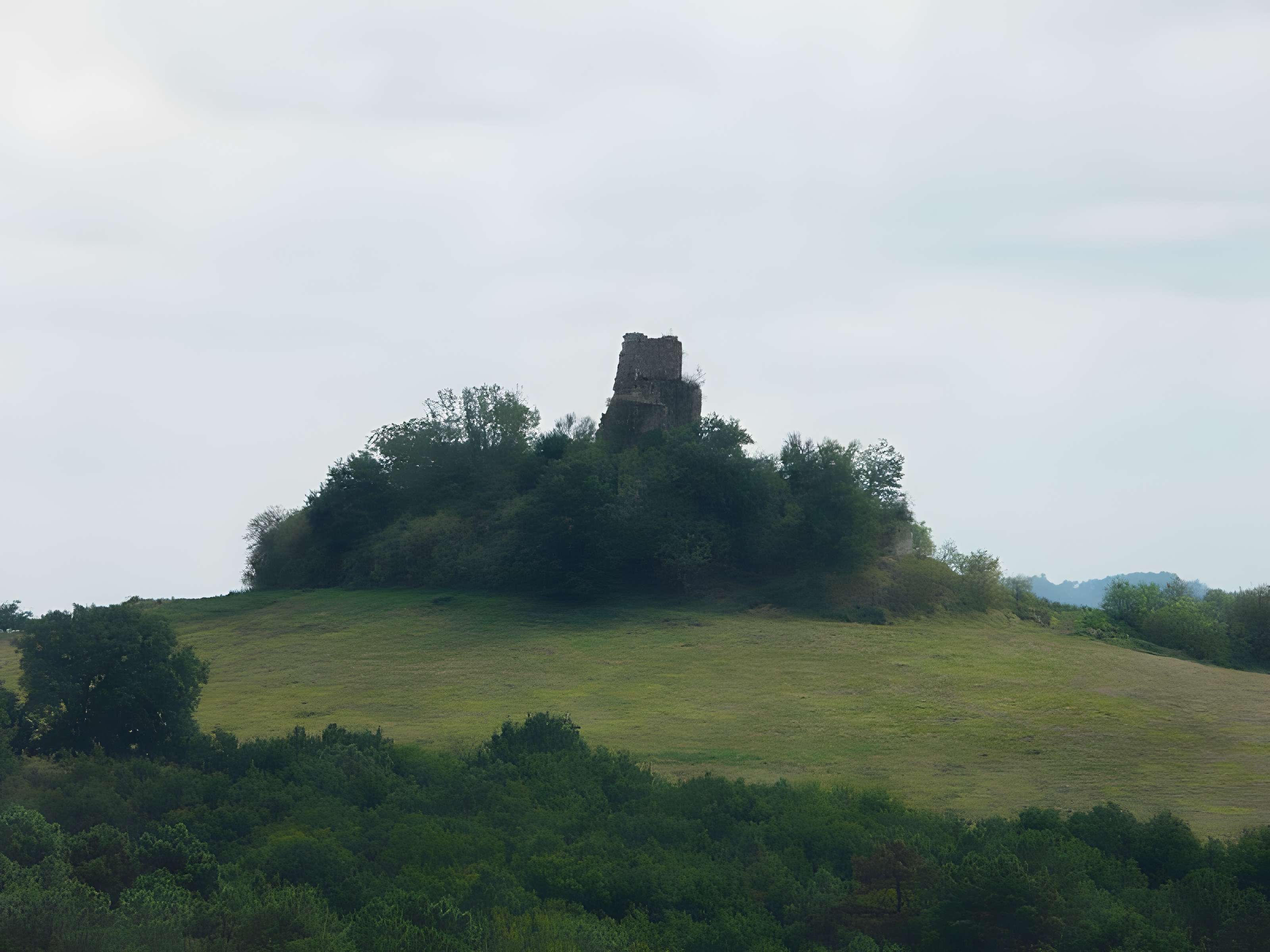Ruines du château de Gurcon