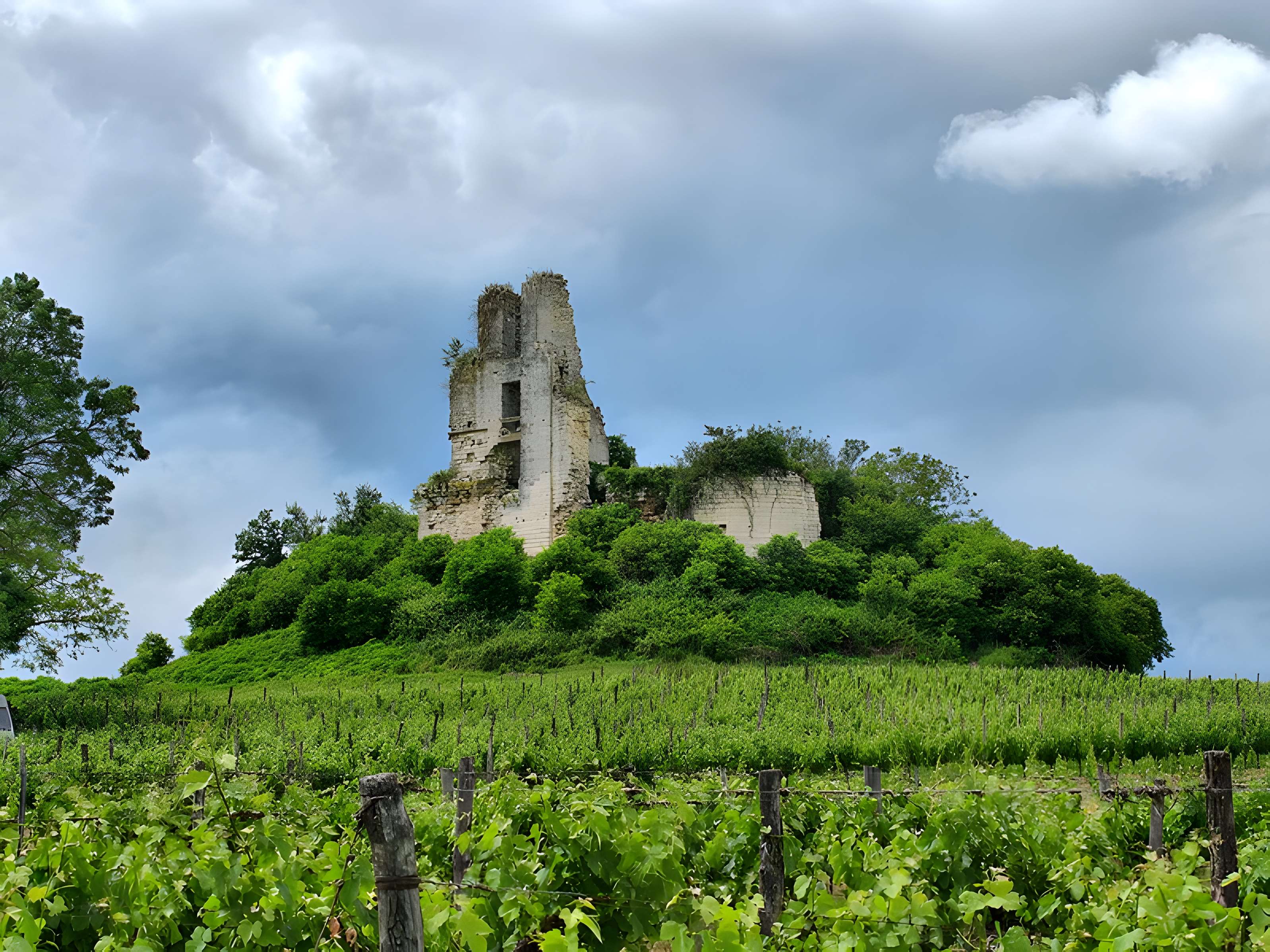 Ruines du château de Gurcon