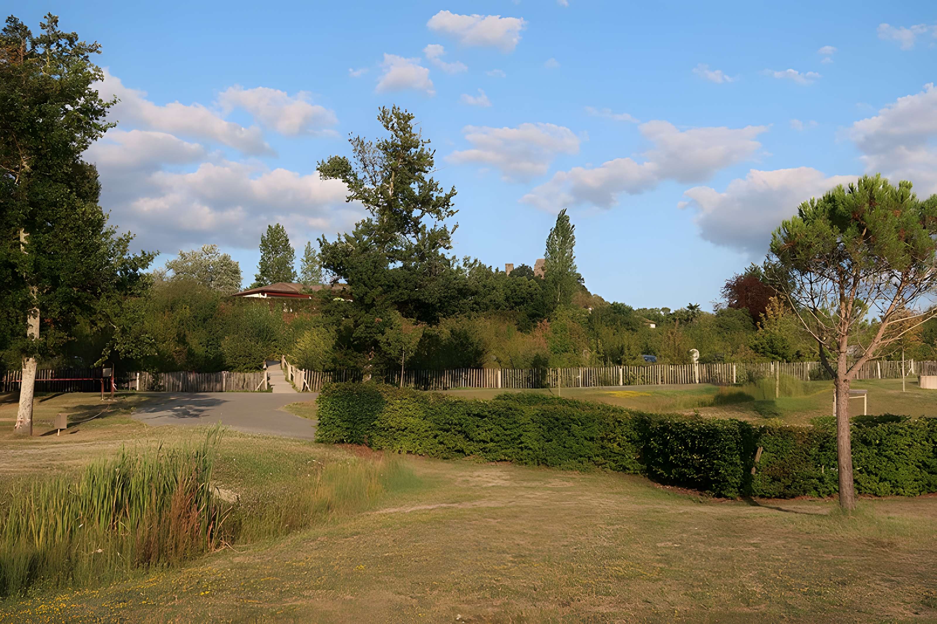 Ruines du château de Gurcon