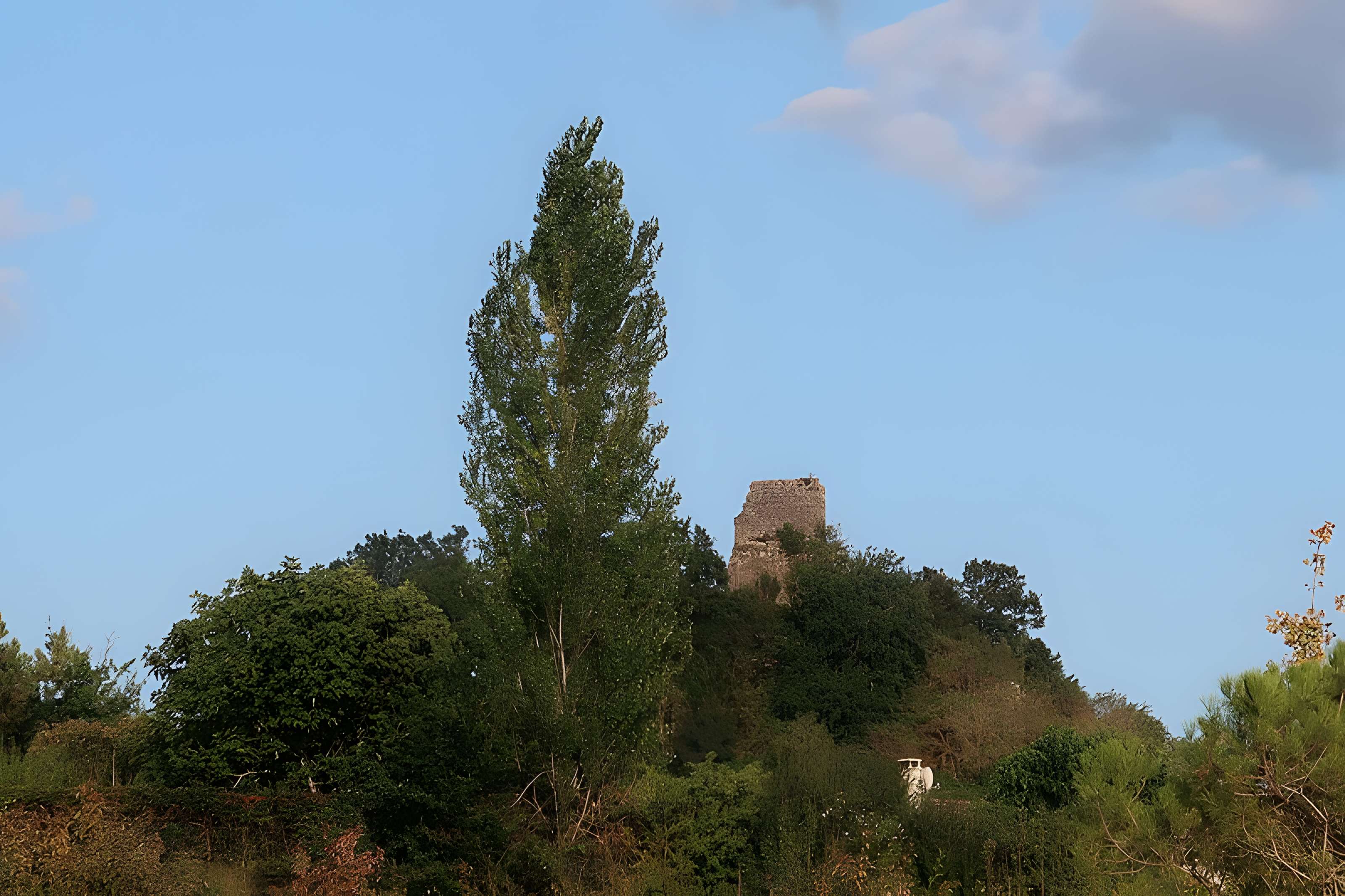 Ruines du château de Gurcon