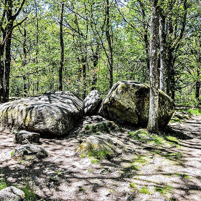 Photo de Pierres Jaumâtres de Toulx-Sainte-Croix