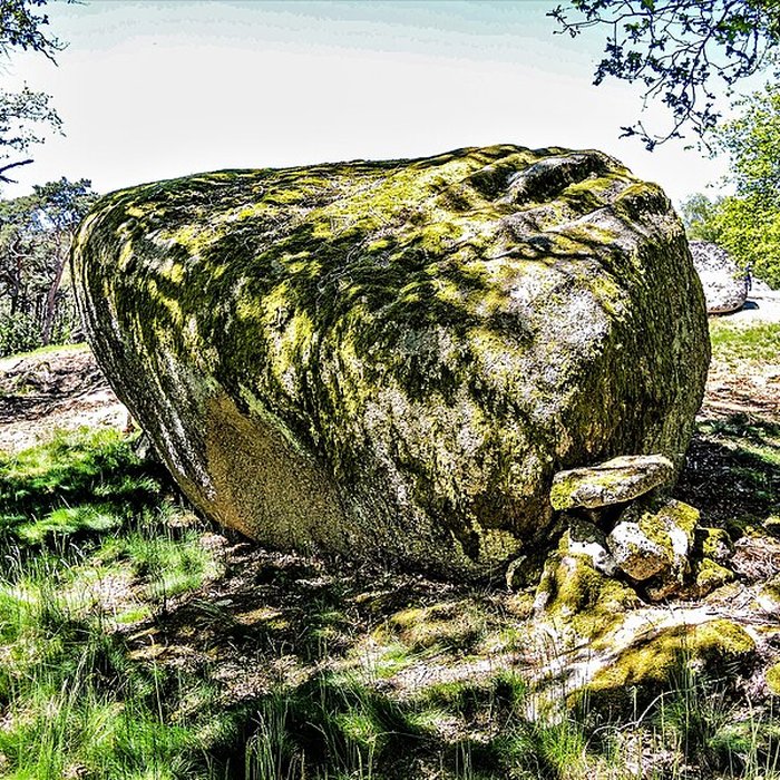 Photo de Pierres Jaumâtres de Toulx-Sainte-Croix