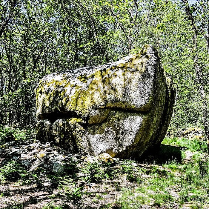 Photo de Pierres Jaumâtres de Toulx-Sainte-Croix