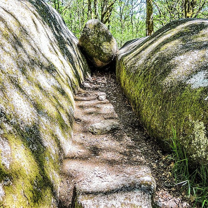 Photo de Pierres Jaumâtres de Toulx-Sainte-Croix