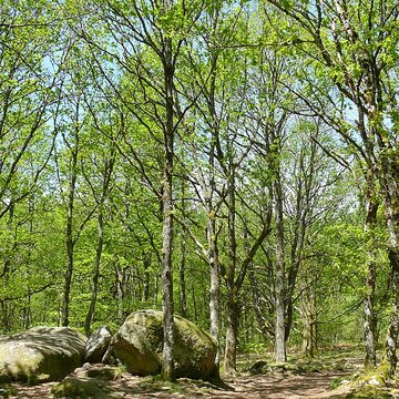 Pierres Jaumâtres de Toulx-Sainte-Croix