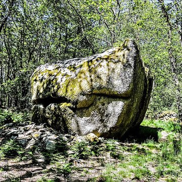 Pierres Jaumâtres de Toulx-Sainte-Croix