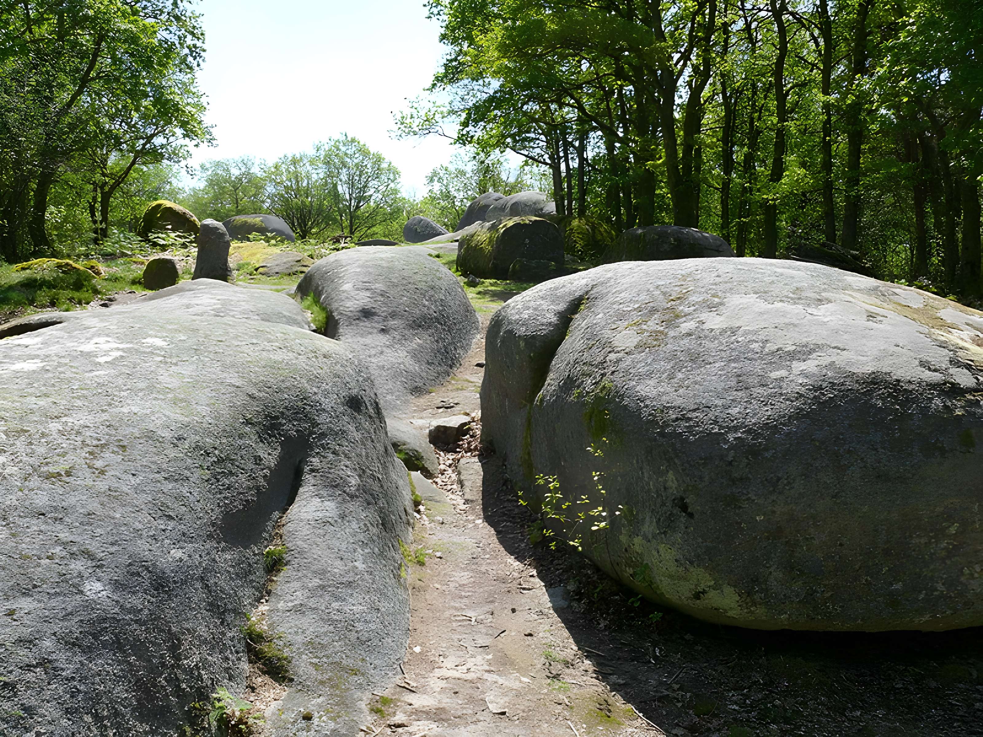 Pierres Jaumâtres de Toulx-Sainte-Croix
