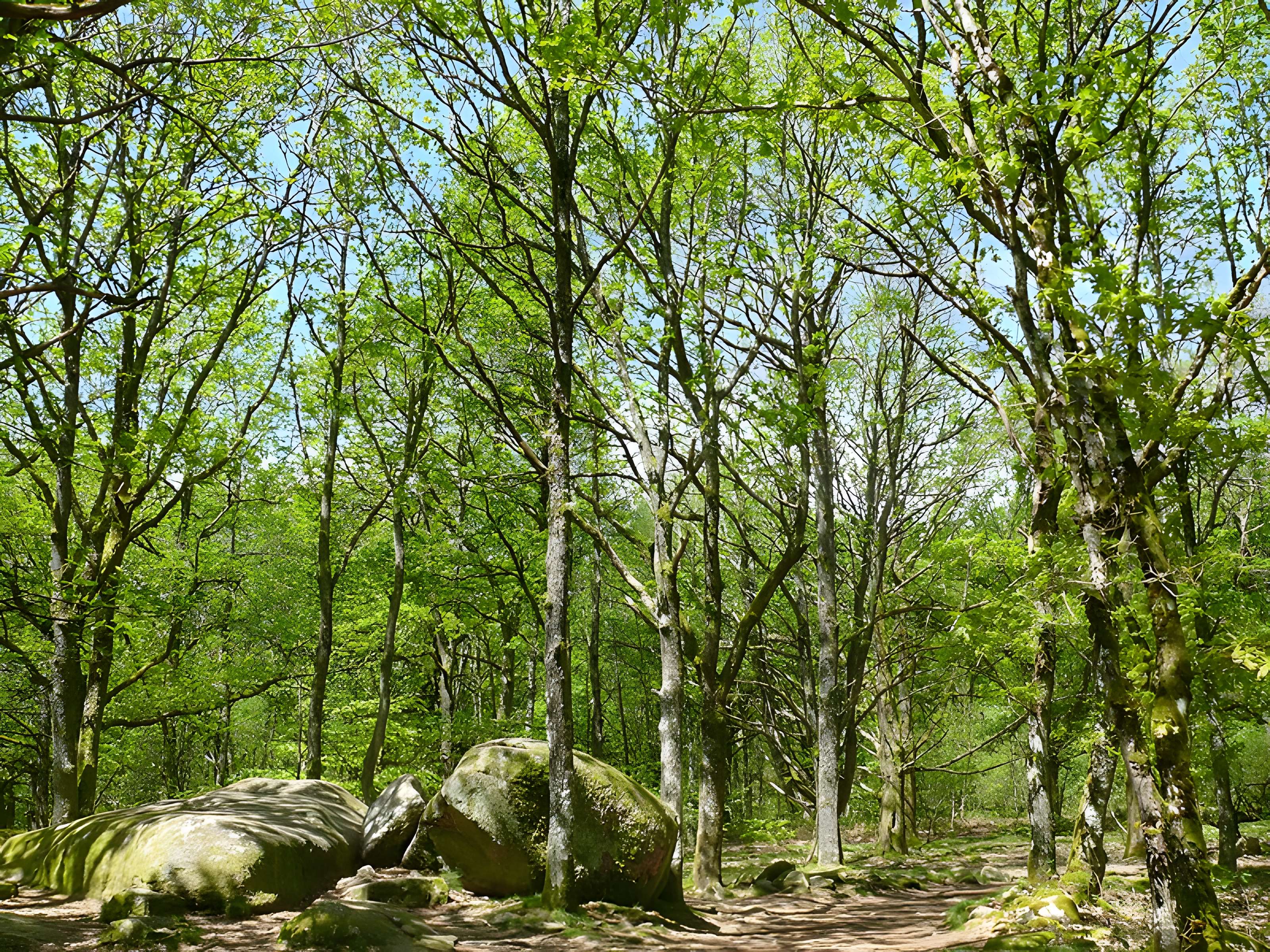 Pierres Jaumâtres de Toulx-Sainte-Croix