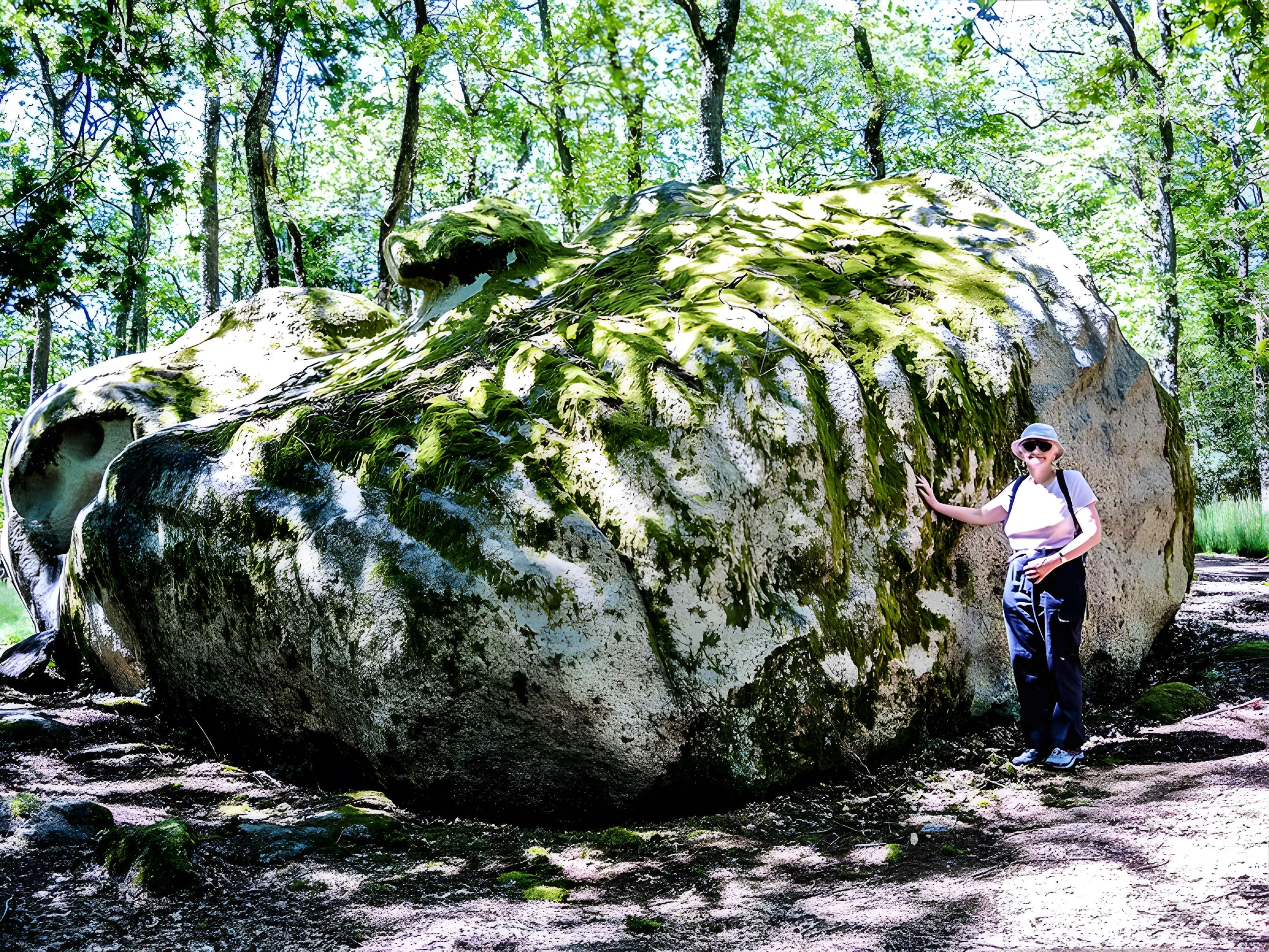 Pierres Jaumâtres de Toulx-Sainte-Croix
