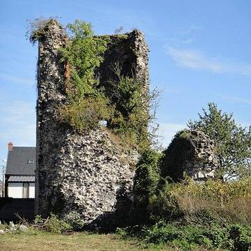 Ruines du château de Jeumont