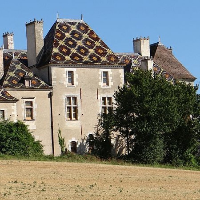 Photo de Château de Jouancy