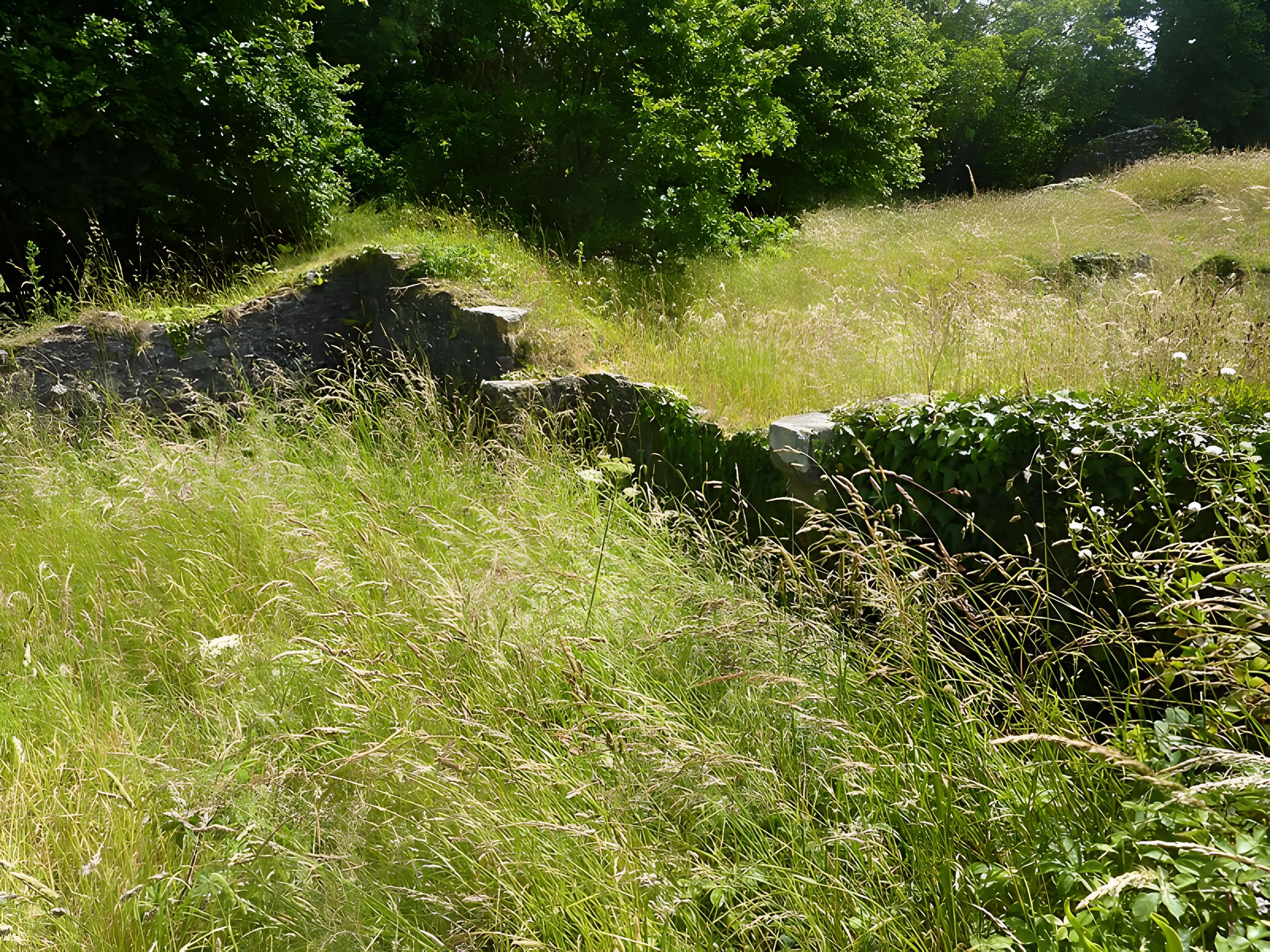 Château de Joyeuse Garde