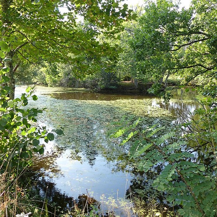 Photo de Château de Kéravéon