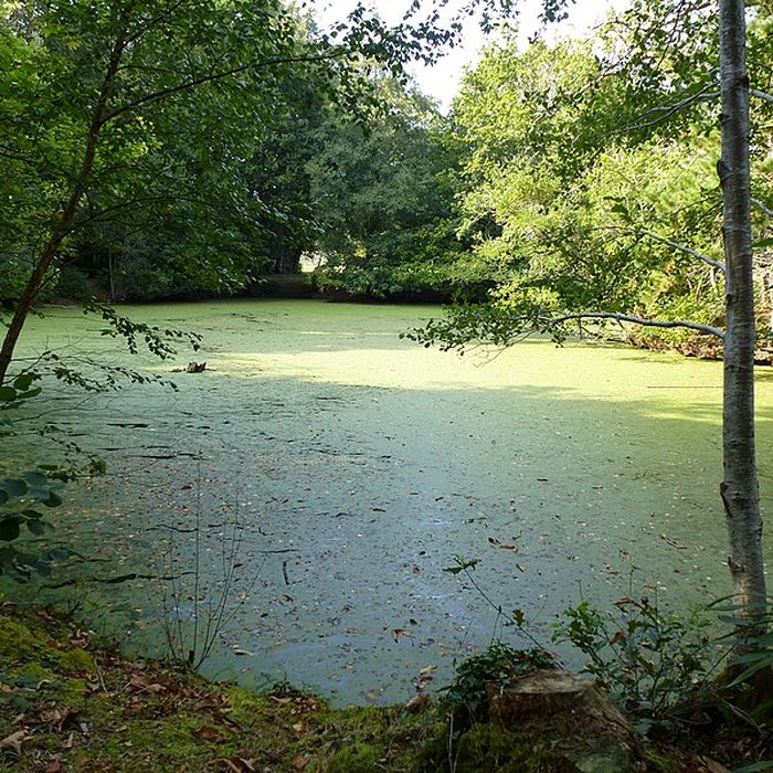 Photo de Château de Kéravéon