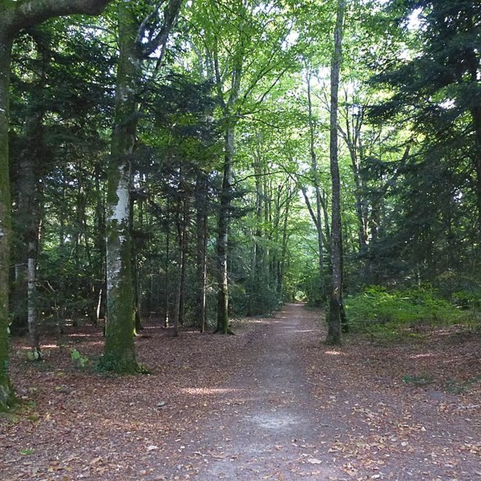 Photo de Château de Kéravéon