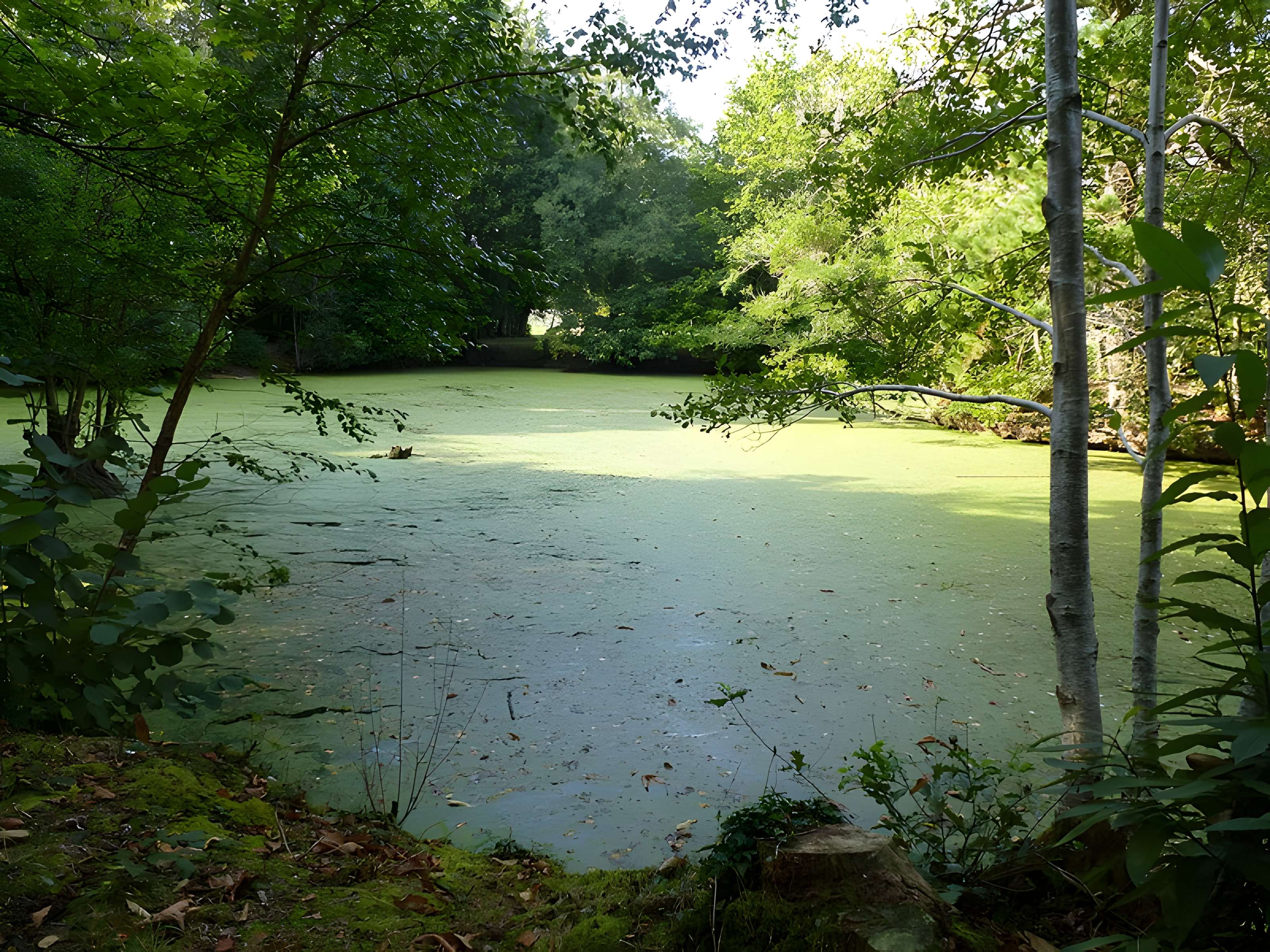 Château de Kéravéon