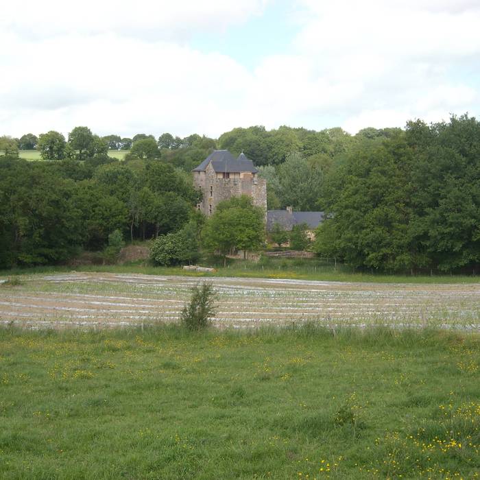 Photo de Château de La Boissière