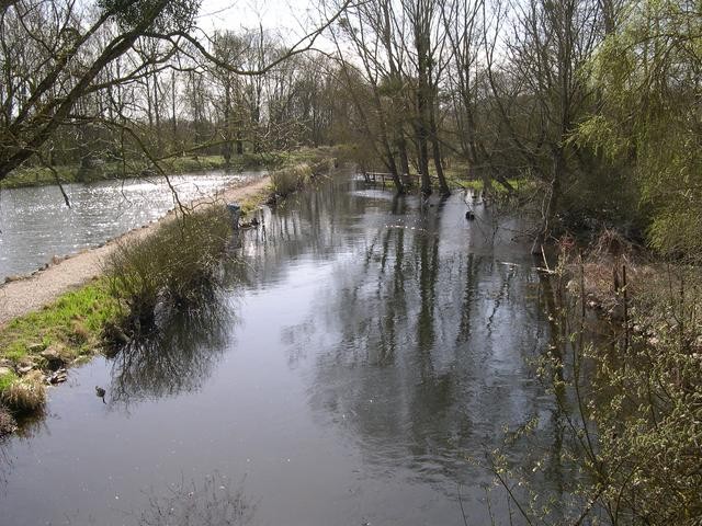 Photo de Château de La Brosse à Nottonville