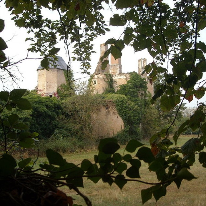 Photo de Château de la Buzardière
