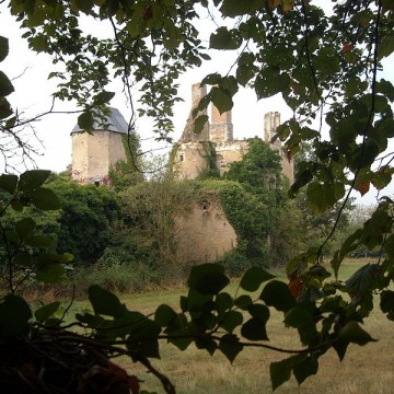 chateau de la buzardiere