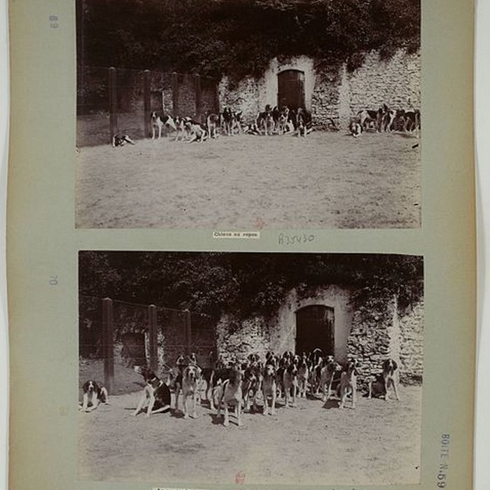 Photo de Château de la Celle-les-Bordes