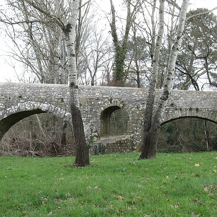 Photo de Pont Charles-Martel sur la Cèze à La Roque-sur-Cèze
