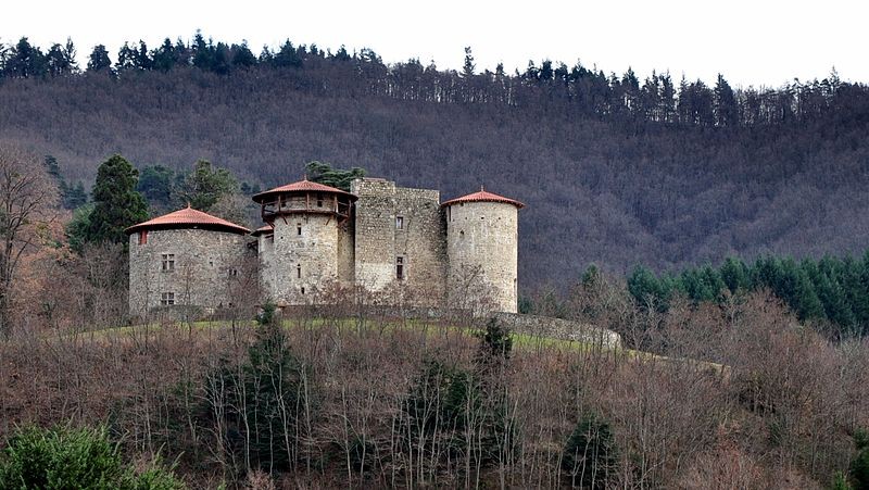 Photo de Château de la Chèze