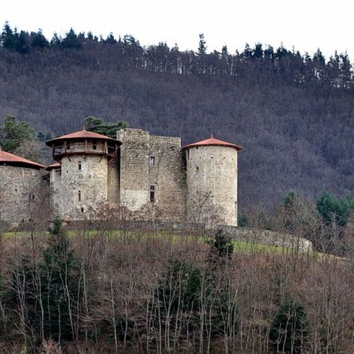 Photo de Château de la Chèze