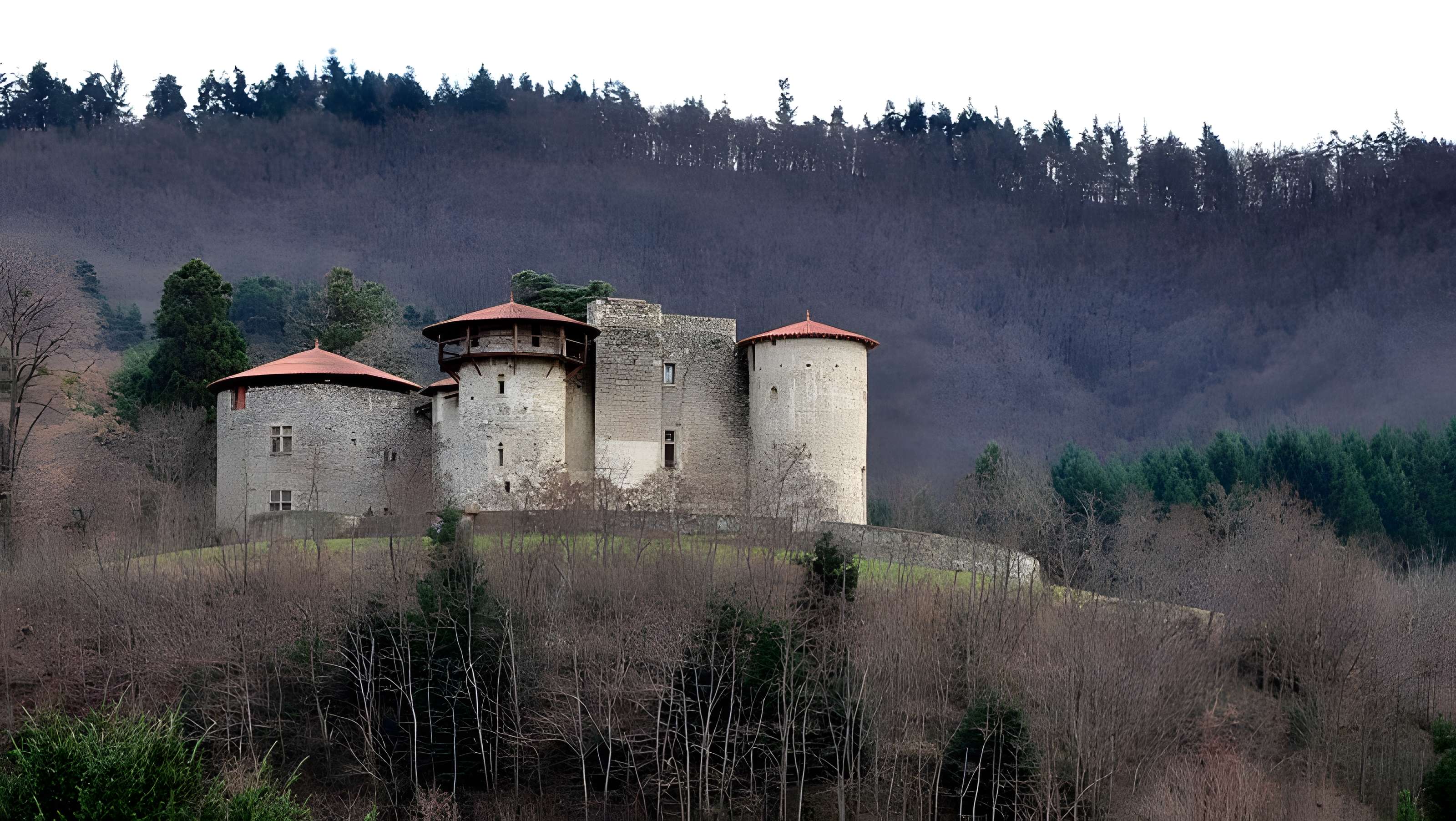 Château de la Chèze 