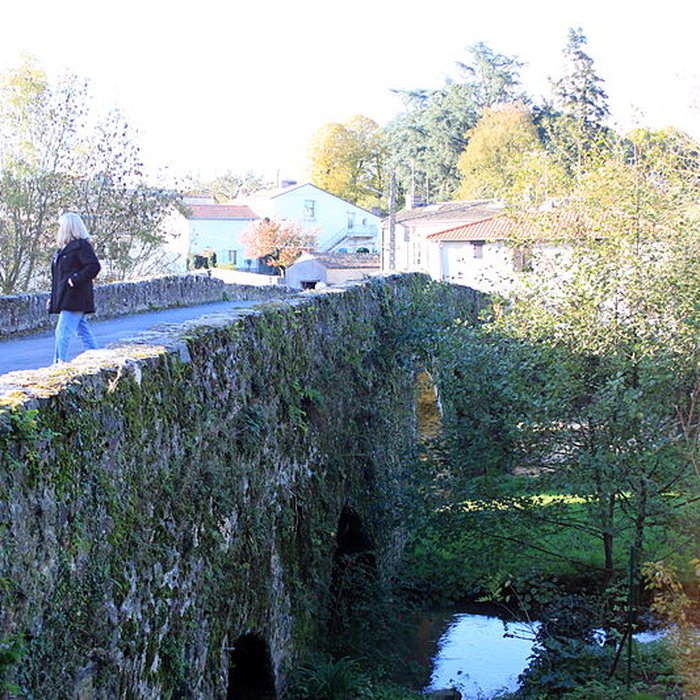 Photo de Pont de Bohardy à Montrevault