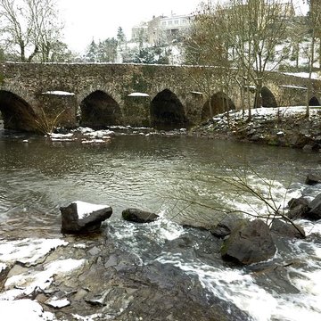 Pont de Bohardy à Montrevault