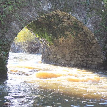 Pont de Bohardy à Montrevault