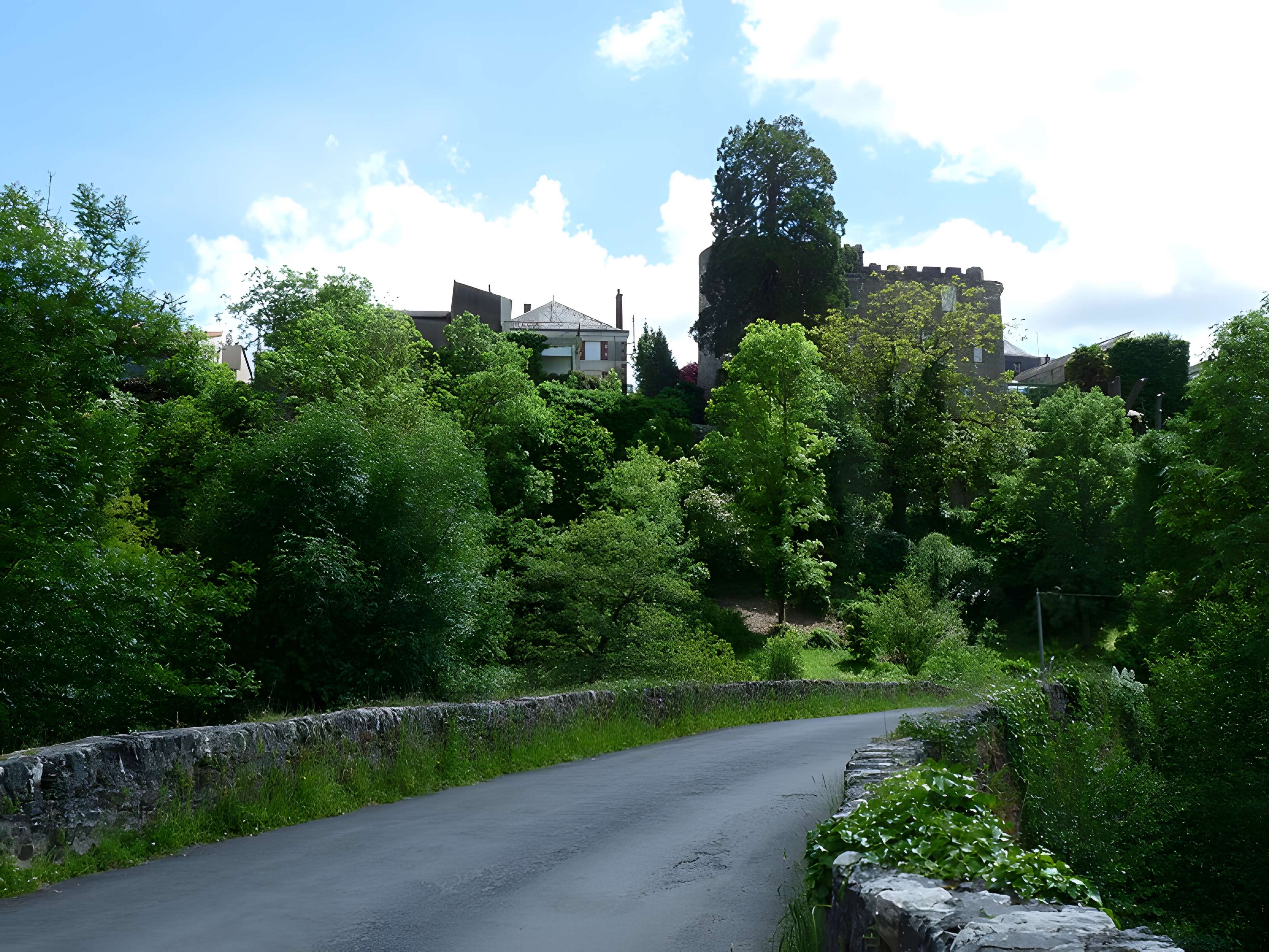 Pont de Bohardy à Montrevault