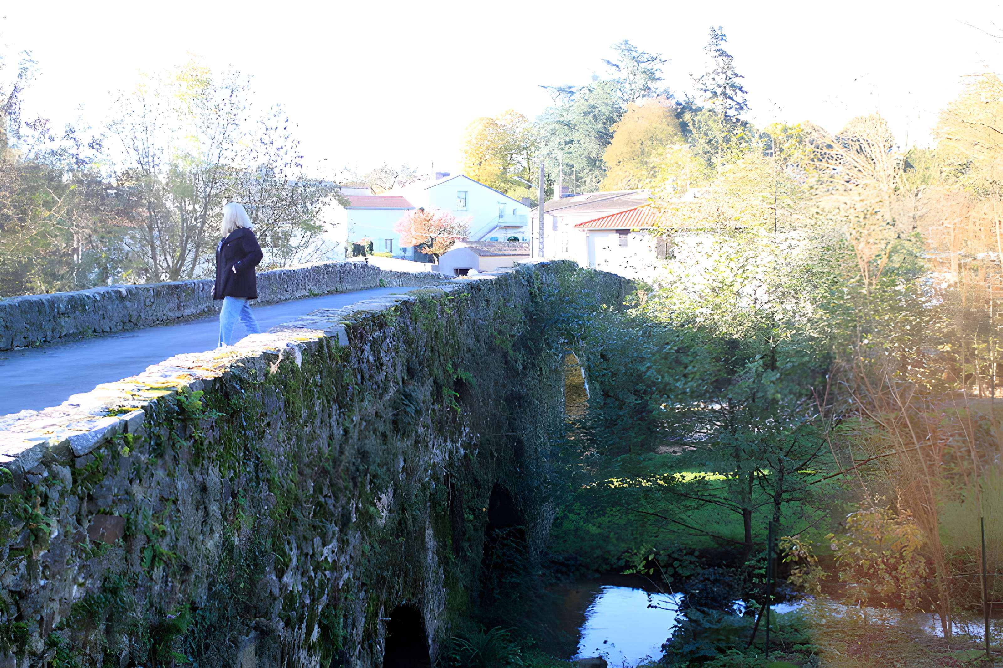 Pont de Bohardy à Montrevault