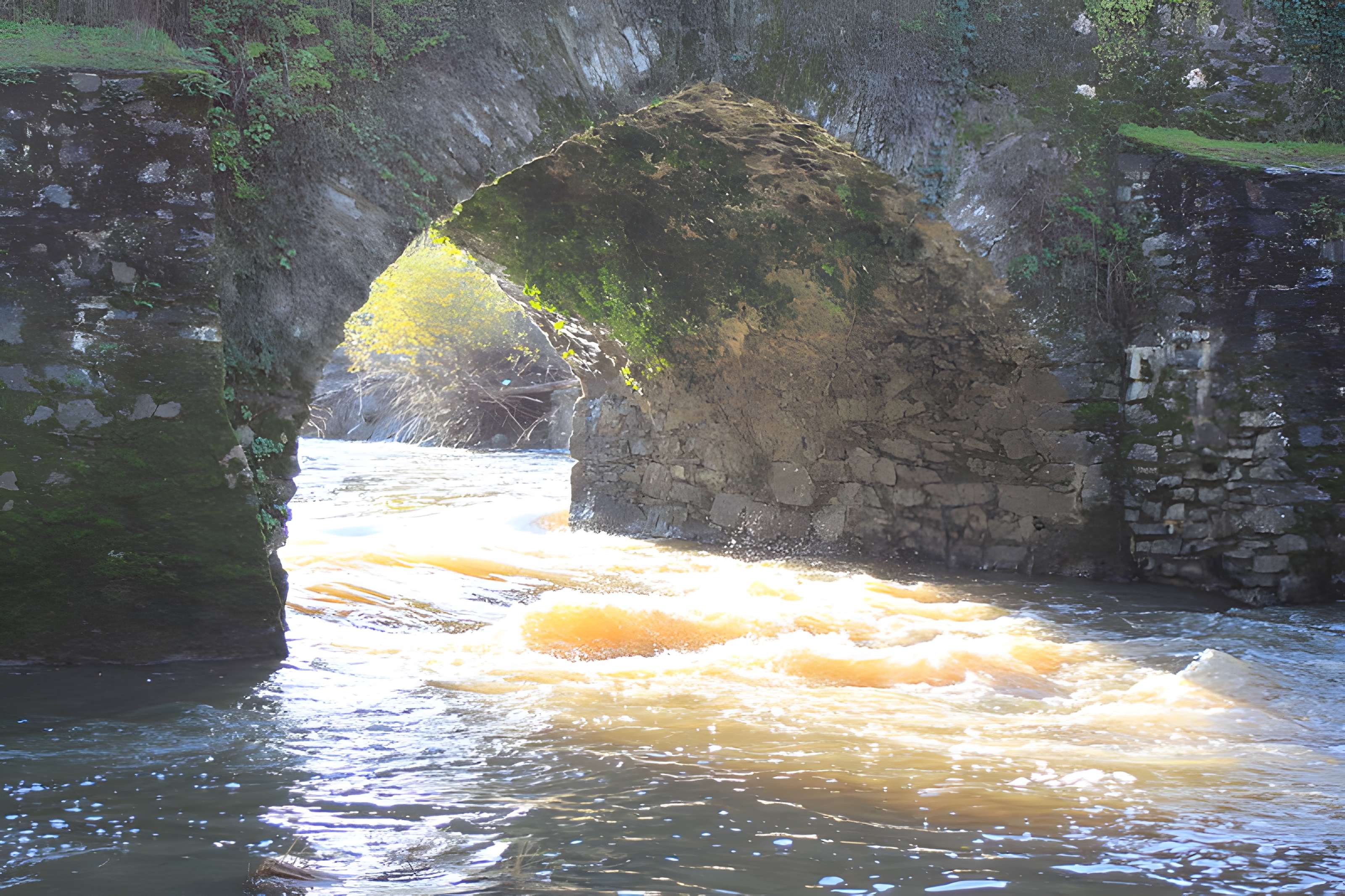 Pont de Bohardy à Montrevault