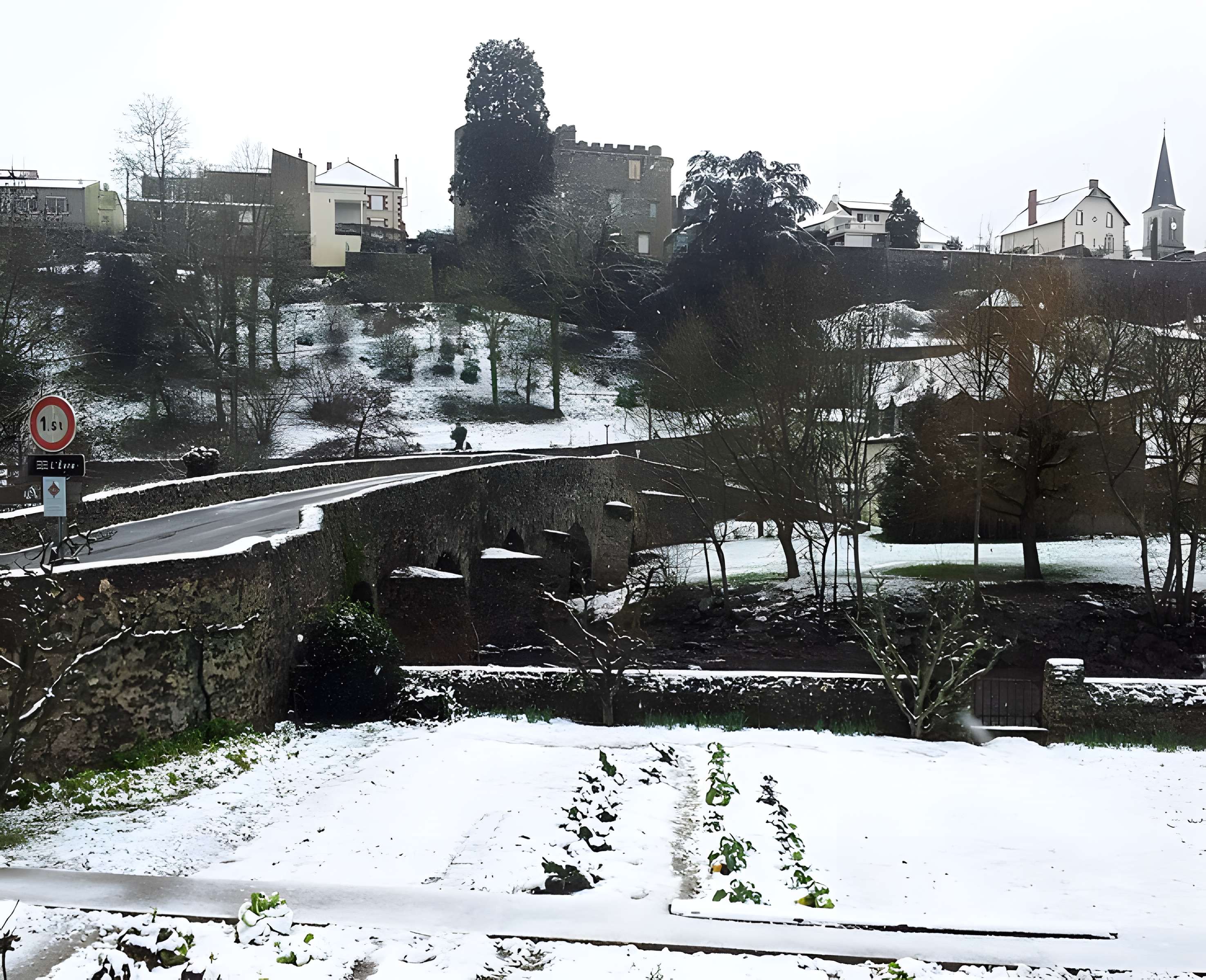 Pont de Bohardy à Montrevault