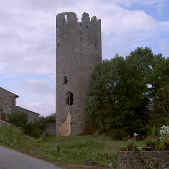 Photo de Château de la Côte-au-Chapt