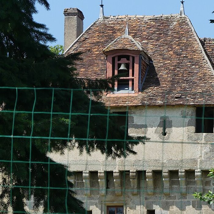 Photo de Château de la Dauge