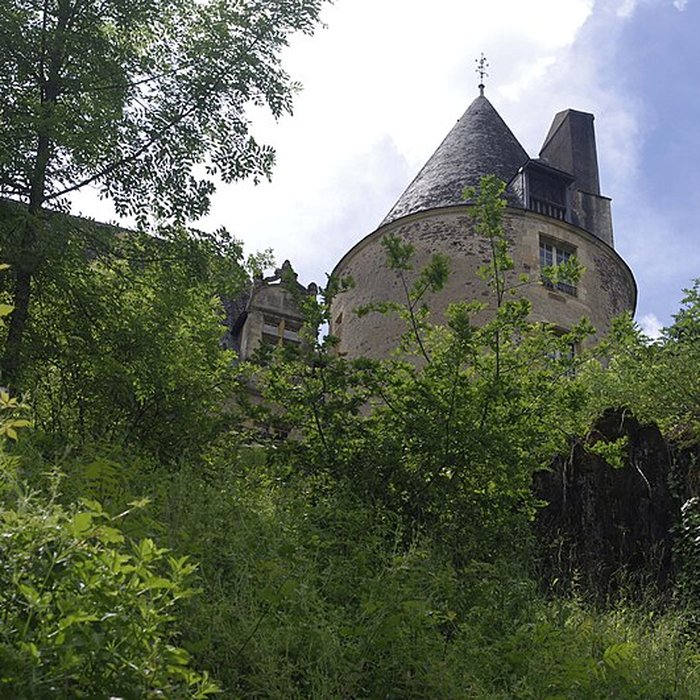 Photo de Château de la Forge à Savignac-Lédrier
