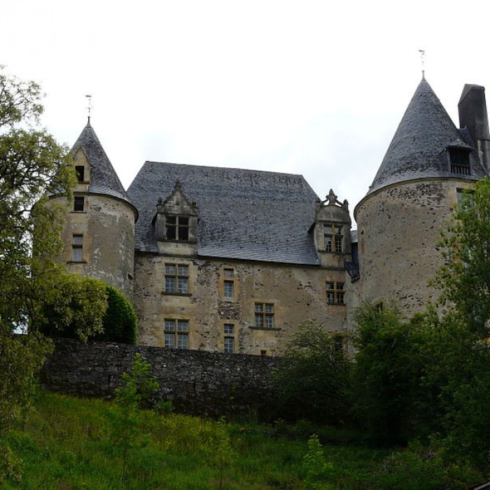 Photo de Château de la Forge à Savignac-Lédrier