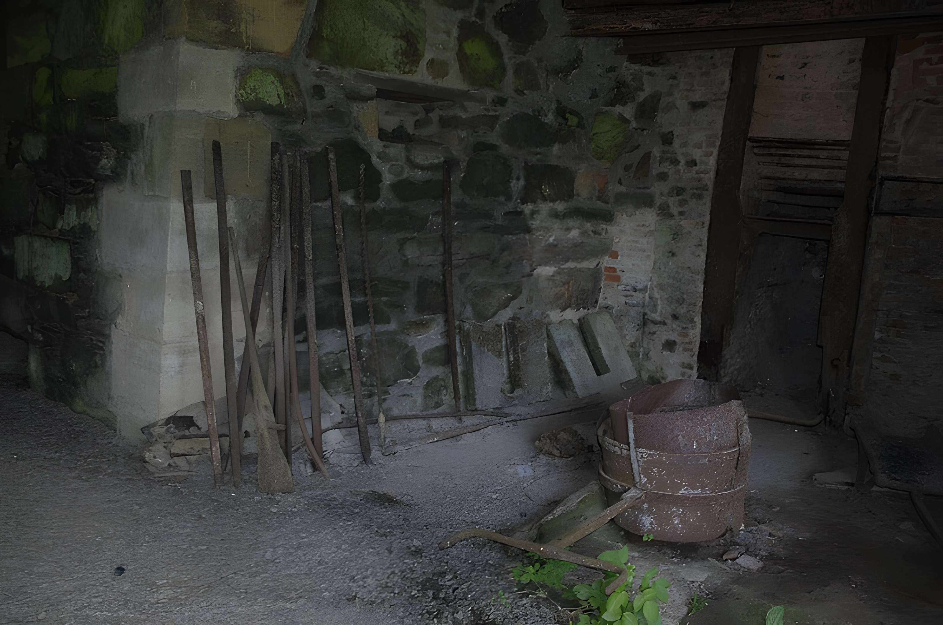 Château de la Forge à Savignac-Lédrier