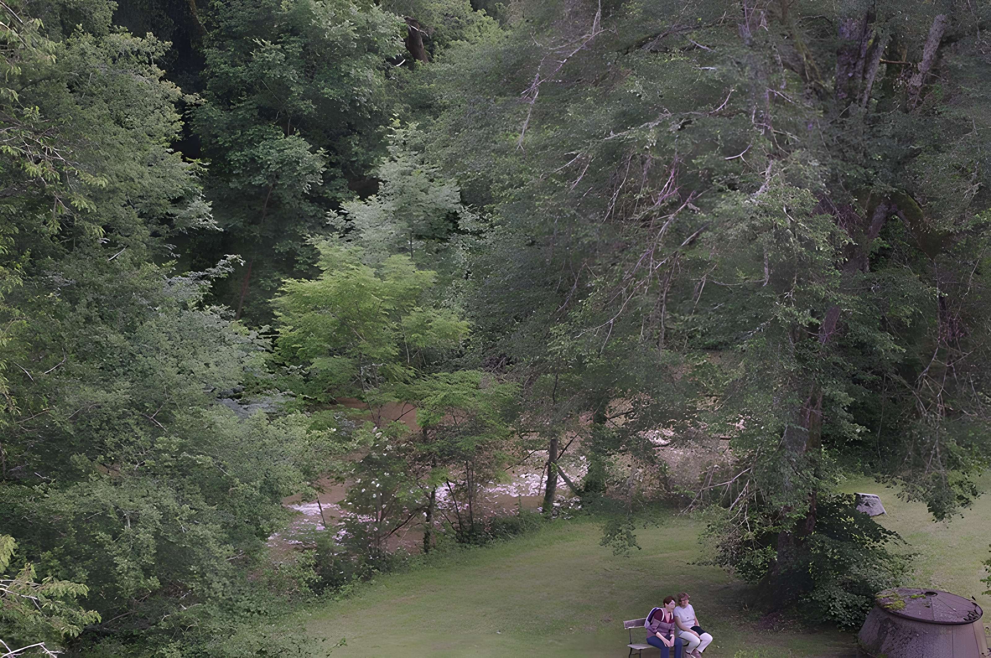 Château de la Forge à Savignac-Lédrier