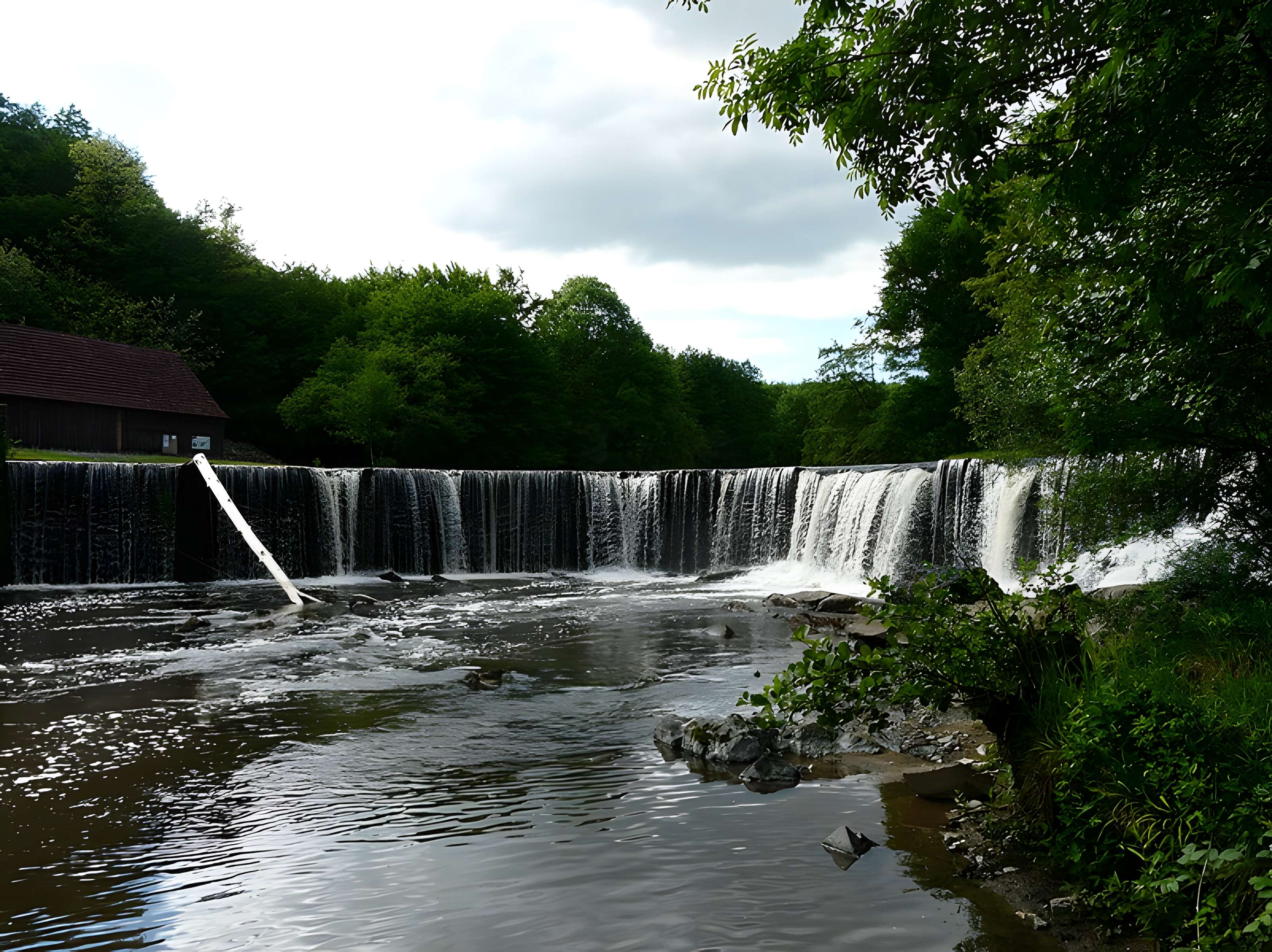 Château de la Forge à Savignac-Lédrier