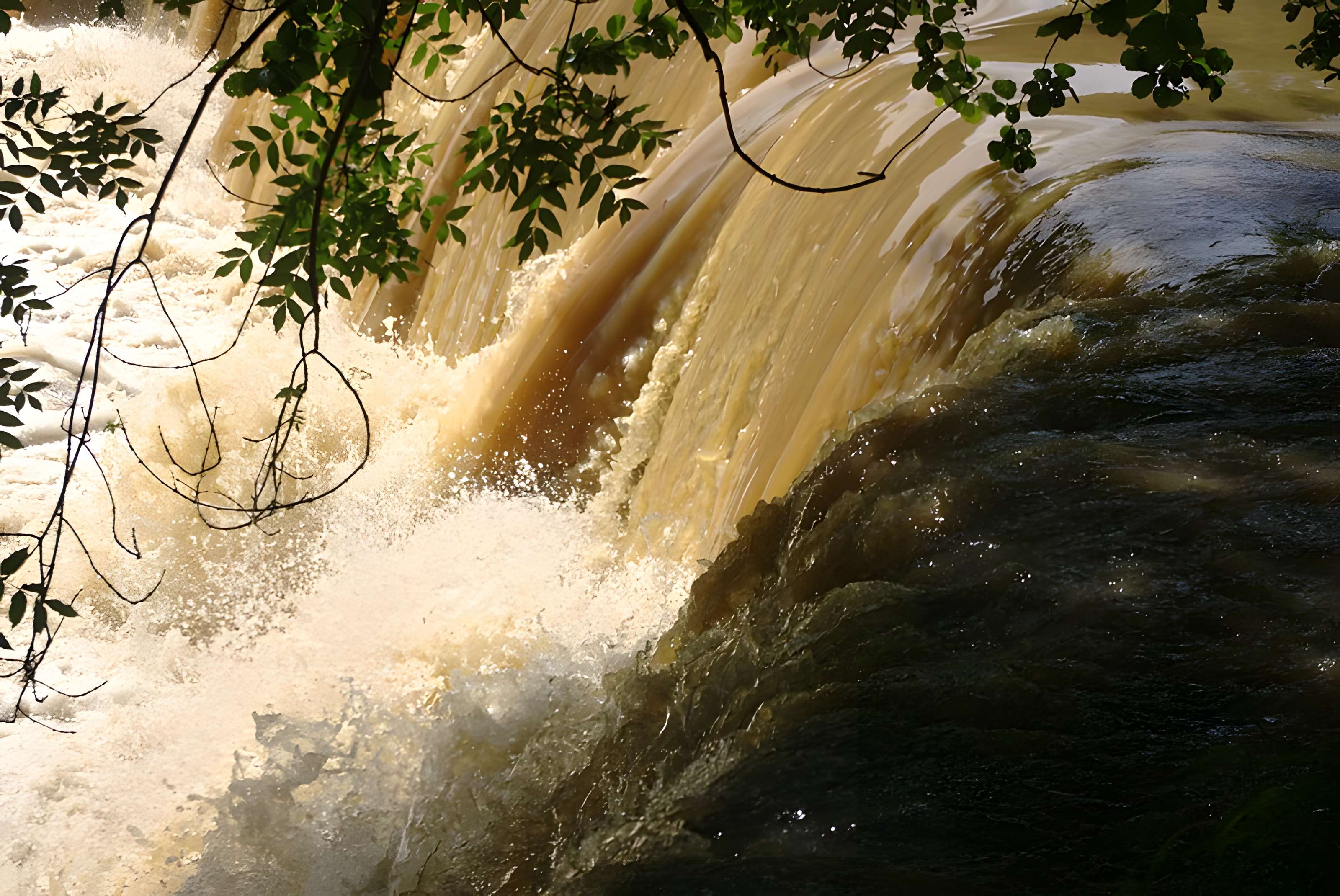 Château de la Forge à Savignac-Lédrier