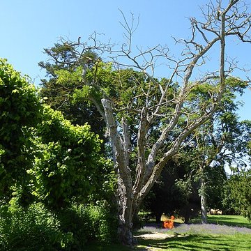 Château de la Gadelière
