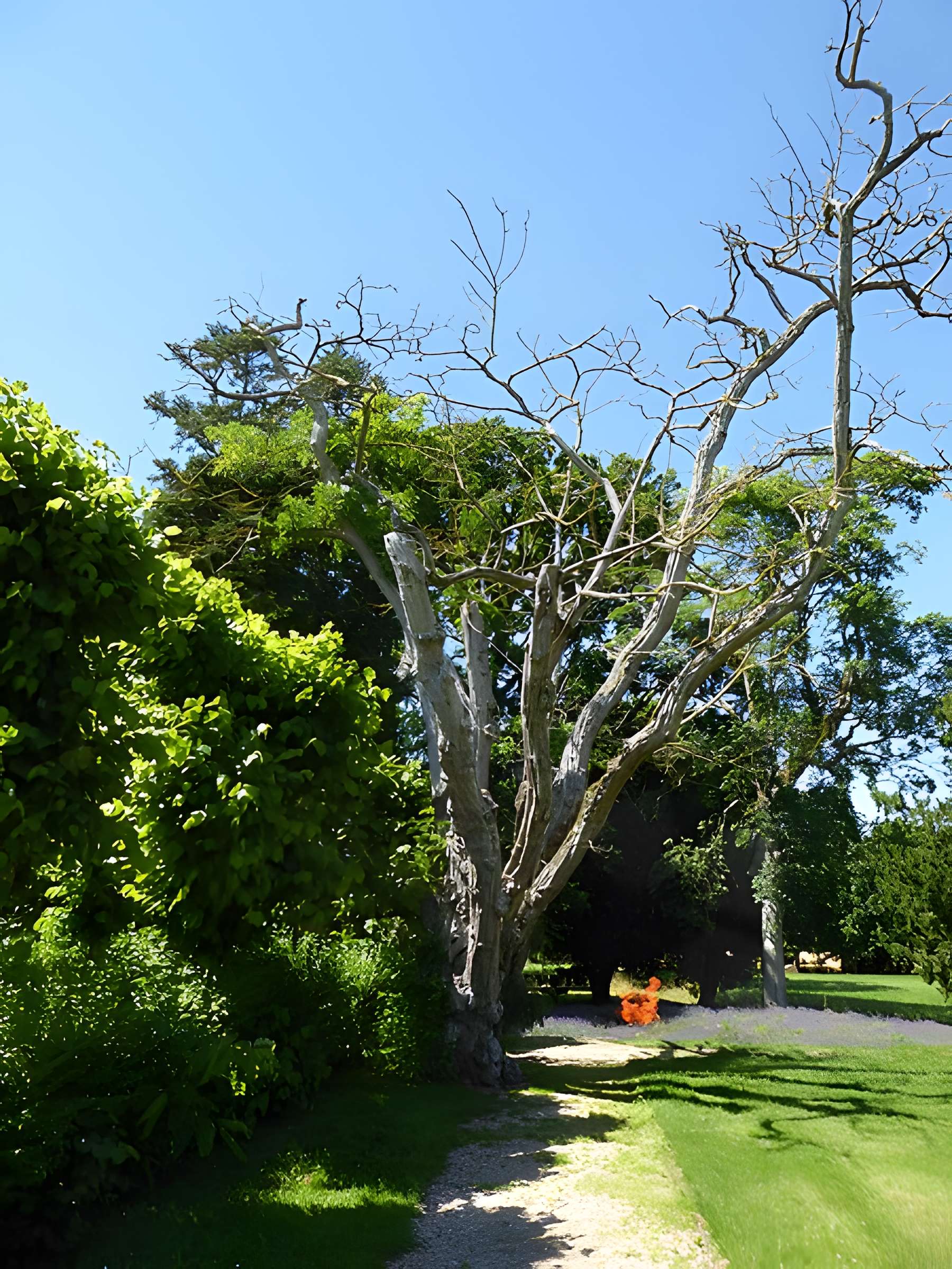 Château de la Gadelière
