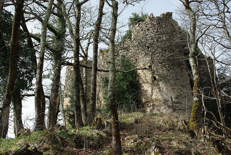 Photo de Château de la Garde à Ustou